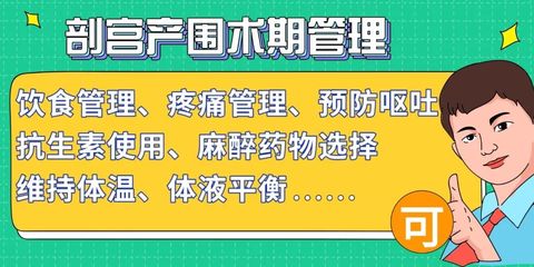 現(xiàn)代餐飲管理的核心要素與實踐策略